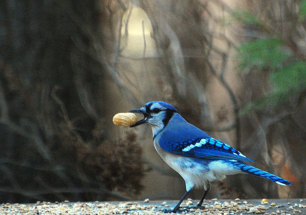 [DSC_3908%255B4%255D.jpg]