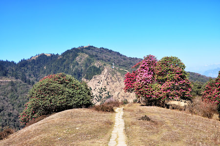 Trekking in Nepal:. Poon Hill Trek