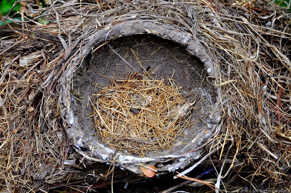 [DSC_0007%255B4%255D.jpg]