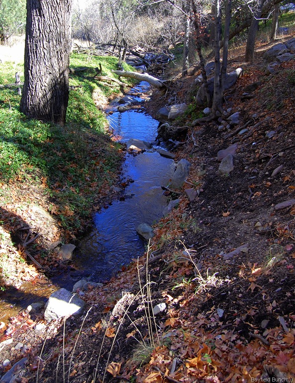 [DSC_1524%255B8%255D.jpg]