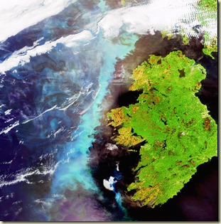 Irlanda y el fitoplancton
