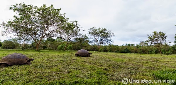 consejos-viajar-islas-galapagos-precios-alojamiento-tours-excursiones-unaideaunviaje-3.jpg