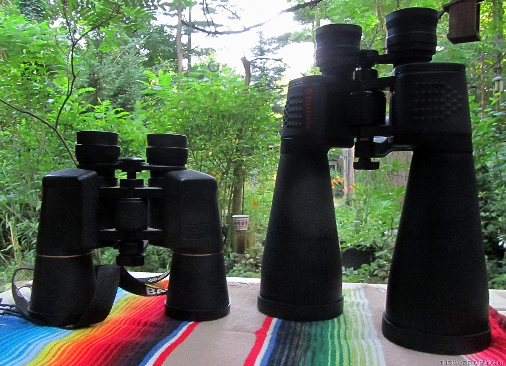 [IMG_2333%255B9%255D.jpg]