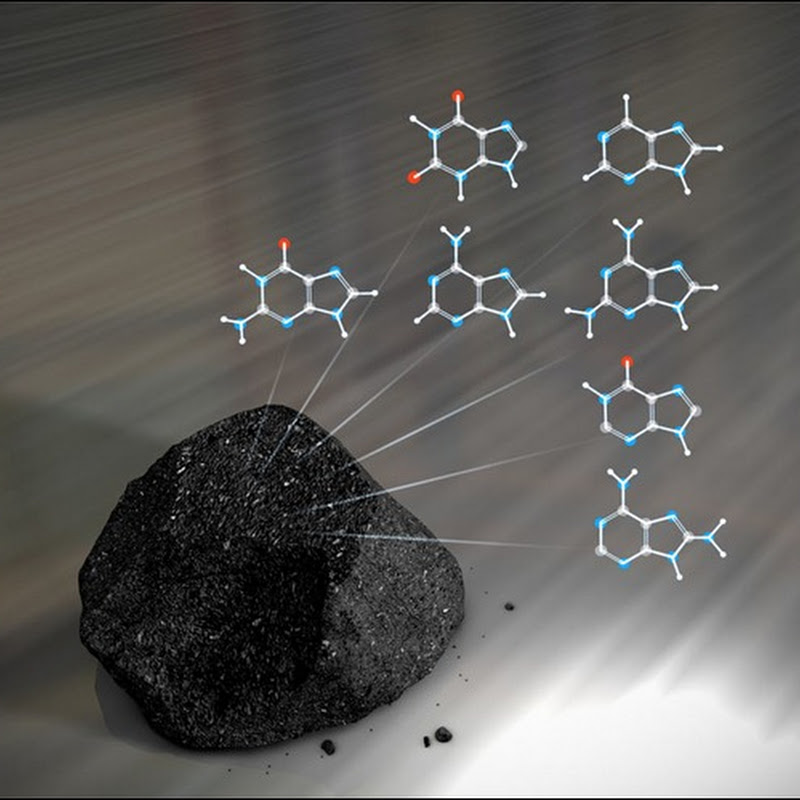 Внеземные ДНК в метеоритах
