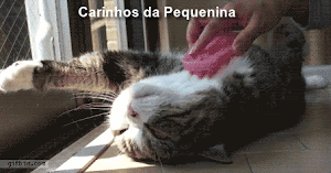 pequenina.gif