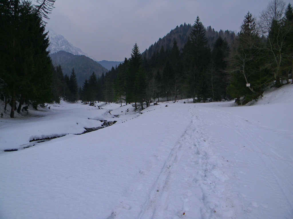 [DSCN70793.jpg]