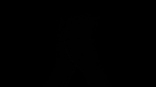 tumblr_mdcbc6UDxg1qghwxto1_500.gif