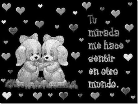 eres el amor de mi vida (12) eres el amor de mi vida (12)