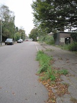 onkruid Zijdelaan Marlot, 10 okt 2011 002