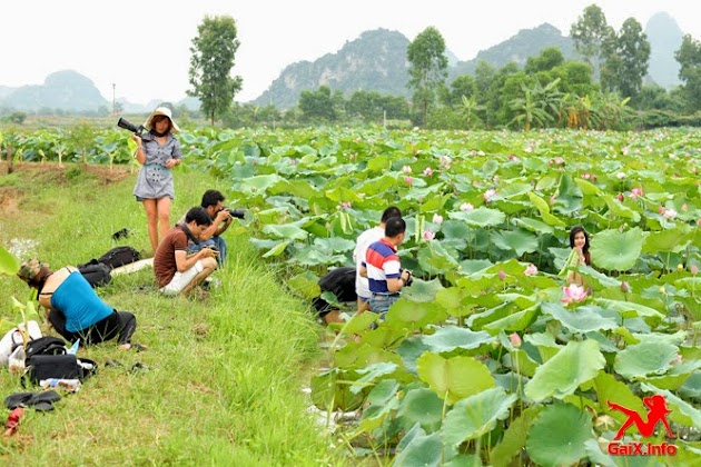 Gai-xinh-coi-do-tam-ao-sen-01.jpg