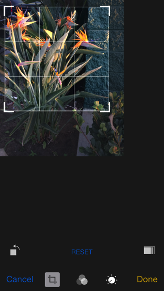 IMG_7942.PNG iOS 8 in crop mode