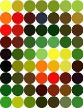 58225919_41829526412345 58225919_41829526412345