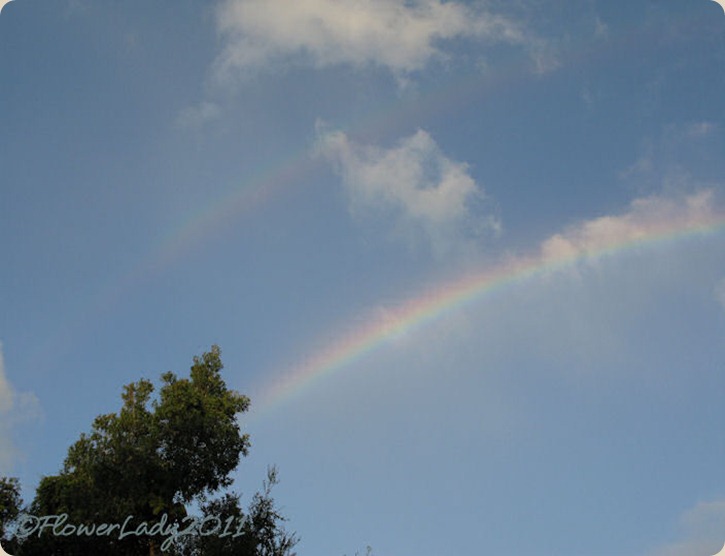 09-28-rainbow3