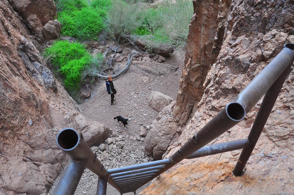 [DSC_0035%255B3%255D.jpg]