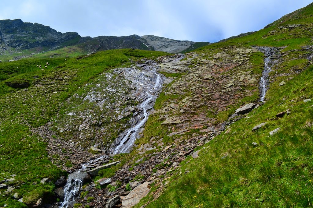 [DSC_9381.jpg]