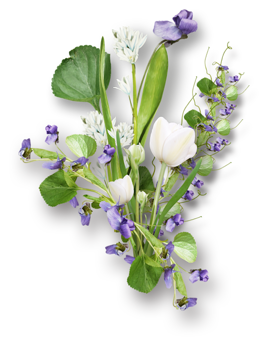 0_cbf43_8610af21_XXL%25255B1%25255D.png