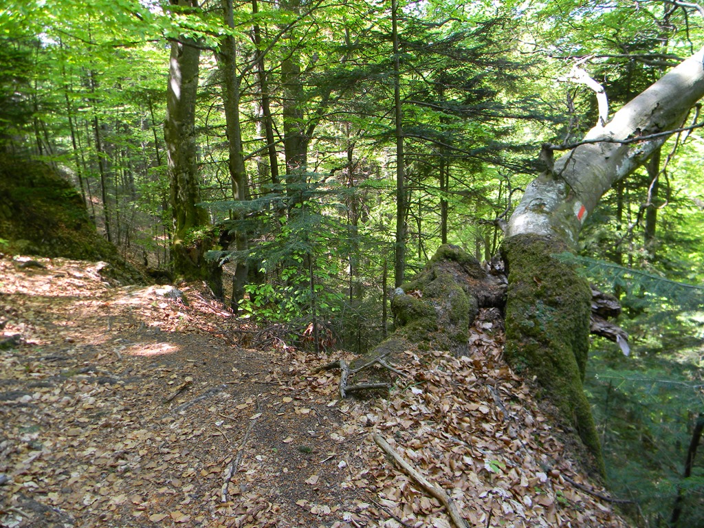 [DSCN86433.jpg]