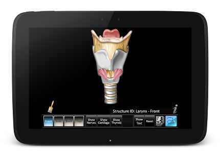 Larynx ID Screenshots 0