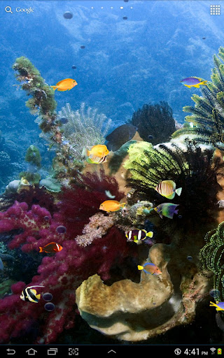 Tropical Fish Live Wallpaper