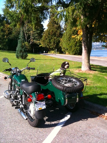Gilbert sidecar.jpg Gilbert sidecar