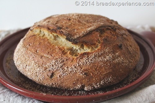 Einkorn and Spelt Levain with Caramelized Onions & Rosemary