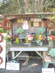 11.2011 flowers cart front dennis