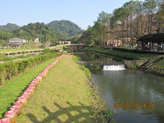 IMG_7553
