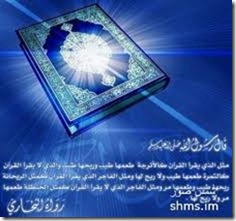 الأربعون القرآنية