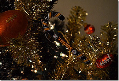 DSC_1117 DSC_1117