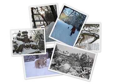 Marlot_winter_2013
