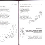 image-41.jpg