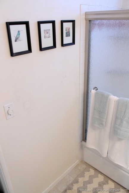Delta Shower Door & Bathroom Makeover via homework - carolynshomework (6)