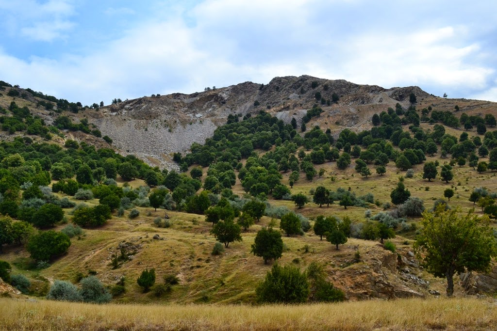 [DSC_70413.jpg]
