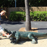 eaten by a crocodile in Miami, United States 