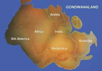 Antartida-gondwana