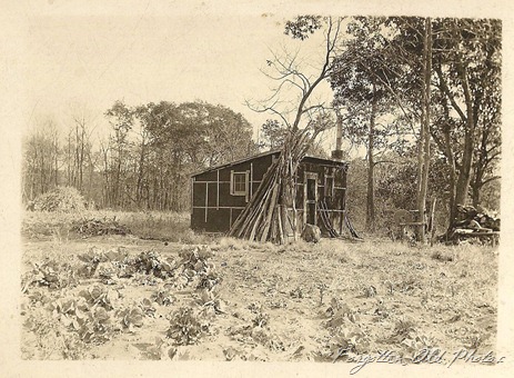 Tar paper shack with rifles leaning and lodge poles Dorset antiques 1
