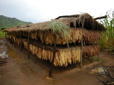DSCN7766.JPG