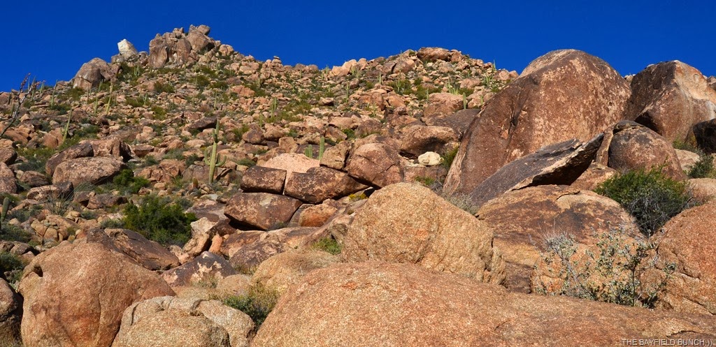 [DSC_0033%255B4%255D.jpg]