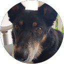 Paul Burgess profile picture