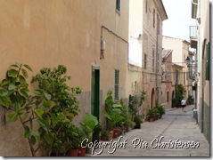 Den gamle by i Alcudia 