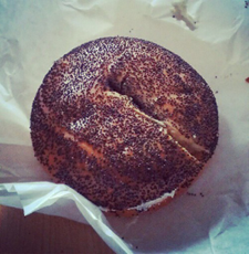 Contoh Gambar Trypophobia Biji Opium Contoh Gambar Trypophobia Biji Opium