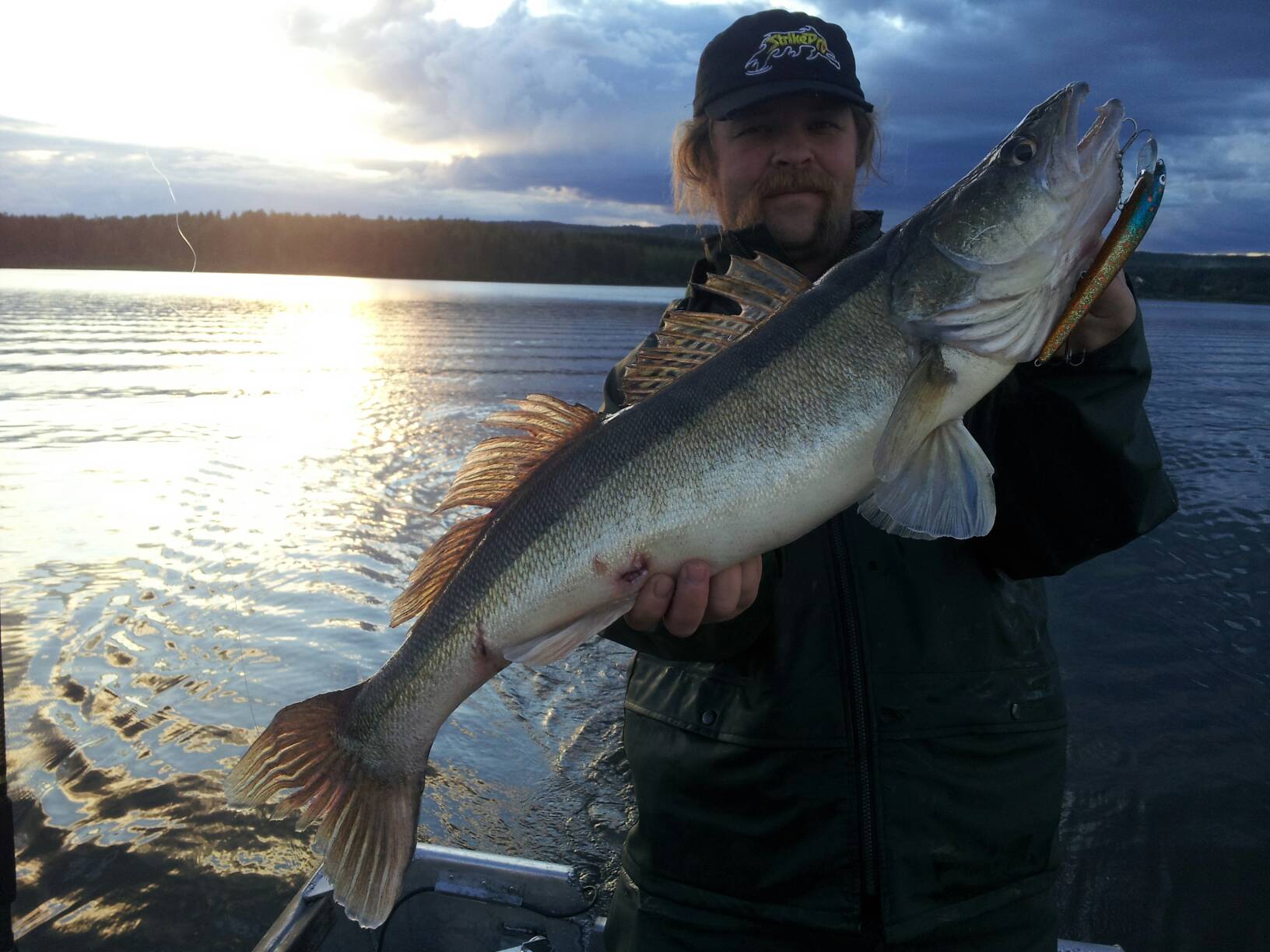 Datingside vurderinger med fisk våt