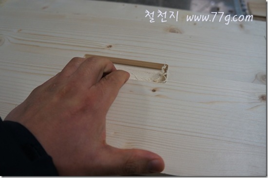 철천지DSC03759-20121112-141231