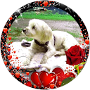 Image Google de Patricia JOURDA