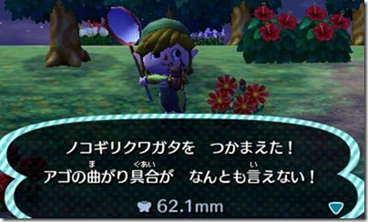 HNI_0039 HNI_0039