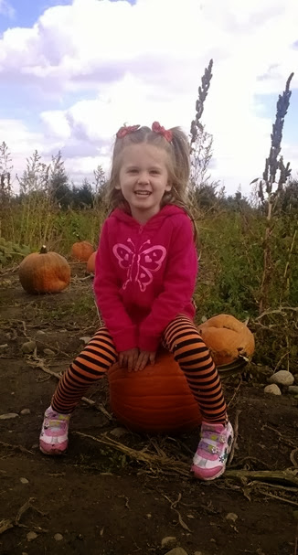 pumpkin patch 2013