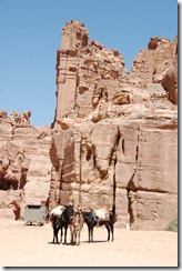 Oporrak 2011 - Jordania ,-  Petra, 21 de Septiembre  229