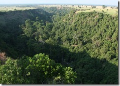 Kyambura gorge forest 
