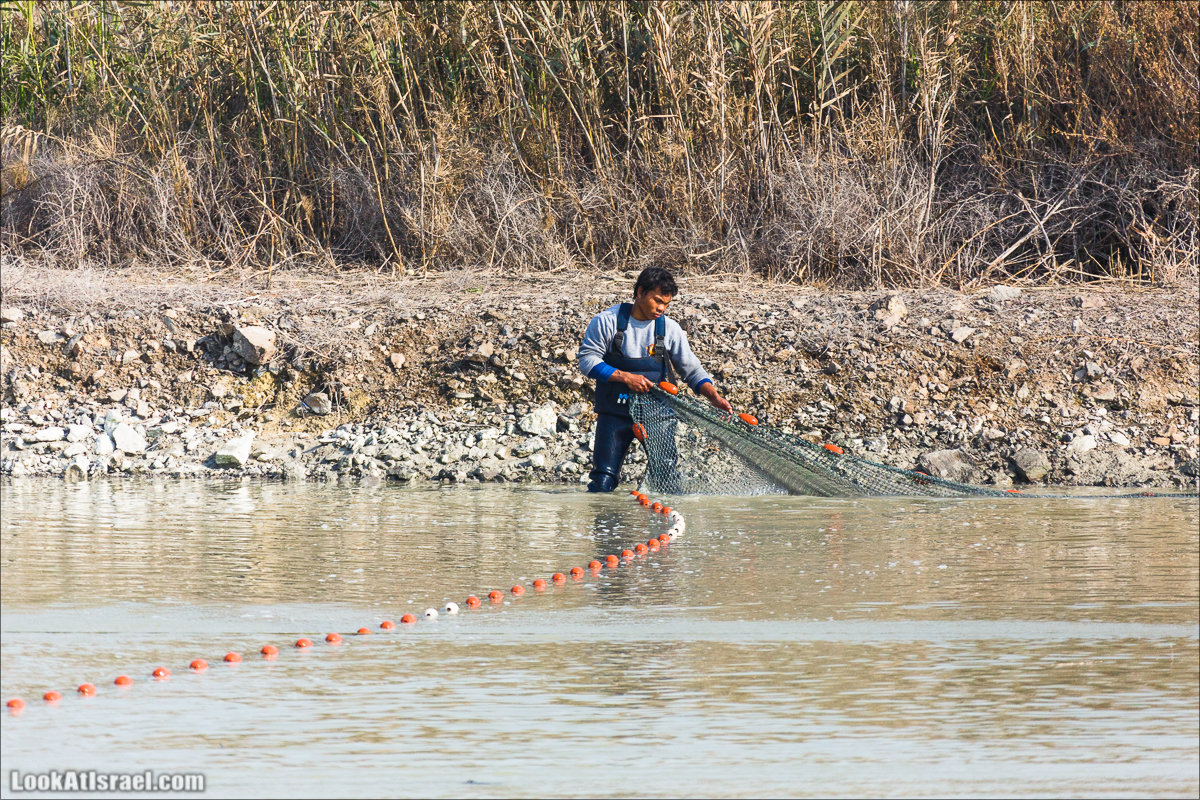 LookAtIsrael.com - Киббуц Кфар Рупин | Kibbutz Kfar Rupin | קיבוץ כפר רופין