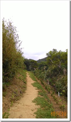 1106 086 - 鶯歌石登山步道